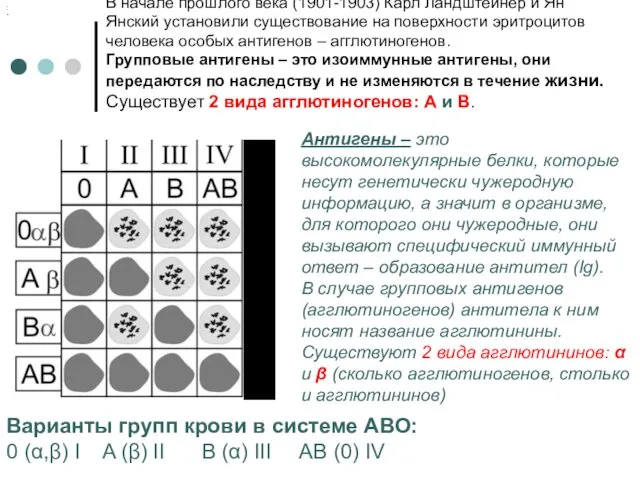 В начале прошлого века (1901-1903) Карл Ландштейнер и Ян Янский