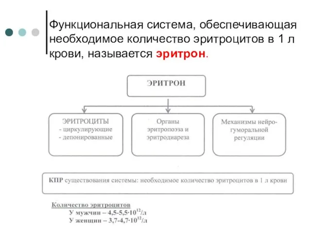 Функциональная система, обеспечивающая необходимое количество эритроцитов в 1 л крови, называется эритрон.