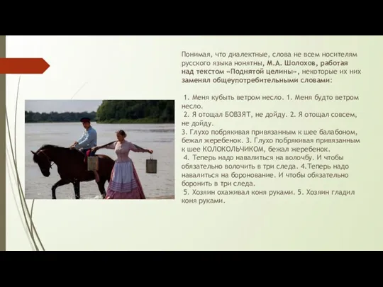 Понимая, что диалектные, слова не всем носителям русского языка нонятны,