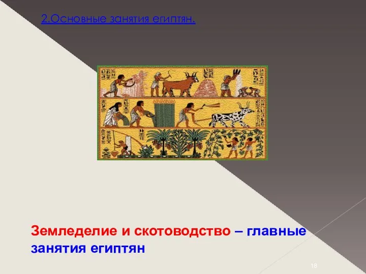 2.Основные занятия египтян. Земледелие и скотоводство – главные занятия египтян