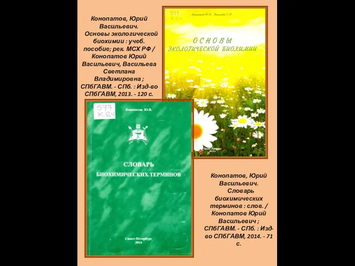 Конопатов, Юрий Васильевич. Основы экологической биохимии : учеб. пособие; рек.