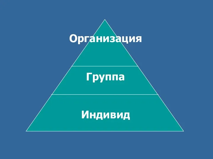 Организация Группа Индивид