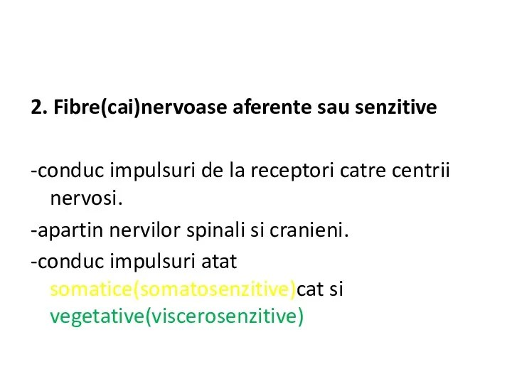 2. Fibre(cai)nervoase aferente sau senzitive -conduc impulsuri de la receptori catre centrii nervosi.