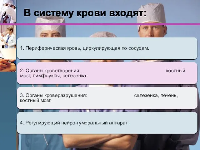 1. Периферическая кровь, циркулирующая по сосудам. 2. Органы кроветворения: костный мозг, лимфоузлы, селезенка.