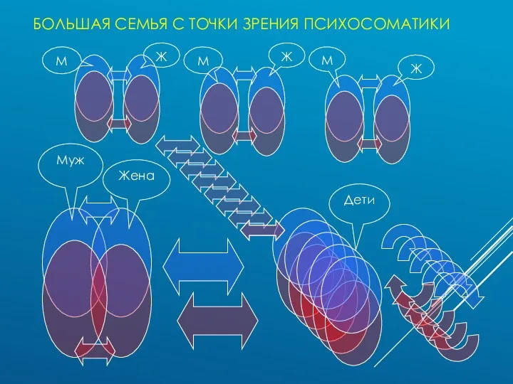 БОЛЬШАЯ СЕМЬЯ С ТОЧКИ ЗРЕНИЯ ПСИХОСОМАТИКИ Муж Жена Дети М Ж М Ж Ж М