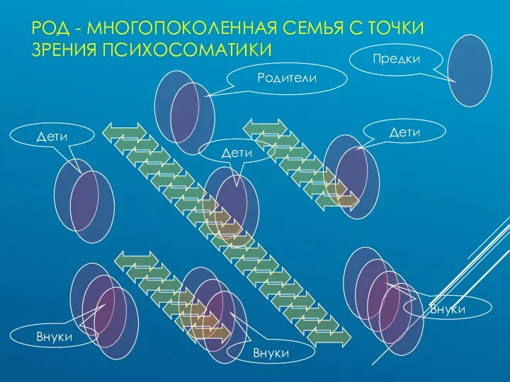 РОД - МНОГОПОКОЛЕННАЯ СЕМЬЯ С ТОЧКИ ЗРЕНИЯ ПСИХОСОМАТИКИ Родители Дети Дети Дети Внуки Внуки Внуки Предки