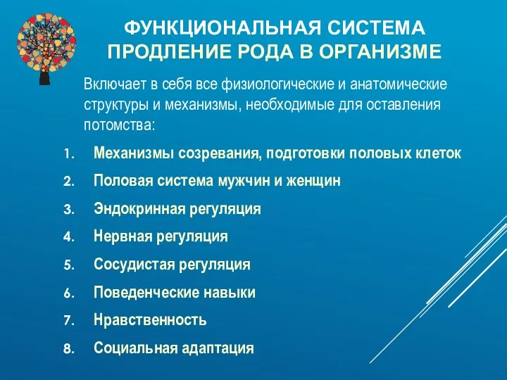 ФУНКЦИОНАЛЬНАЯ СИСТЕМА ПРОДЛЕНИЕ РОДА В ОРГАНИЗМЕ Включает в себя все