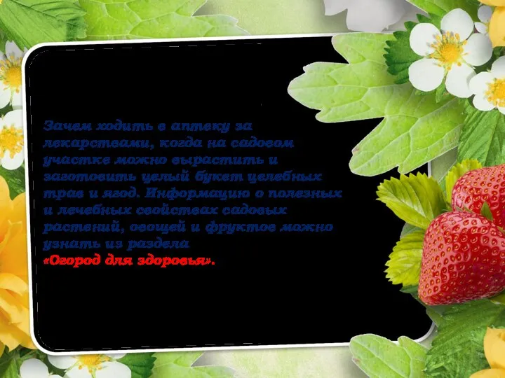 Зачем ходить в аптеку за лекарствами, когда на садовом участке