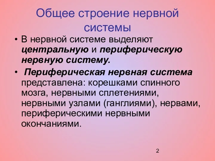 Общее строение нервной системы В нервной системе выделяют центральную и