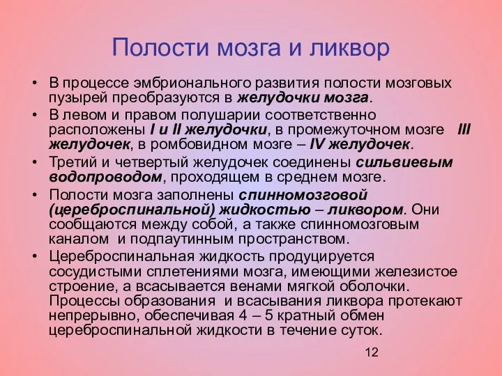 Полости мозга и ликвор В процессе эмбрионального развития полости мозговых