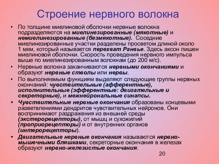 Строение нервного волокна По толщине миелиновой оболочки нервные волокна подразделяются