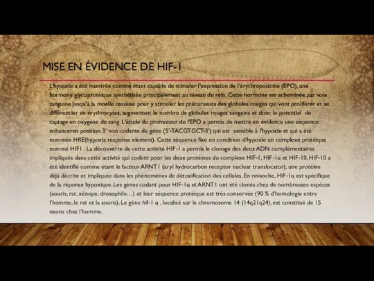 L'hypoxie a été montrée comme étant capable de stimuler l'expression