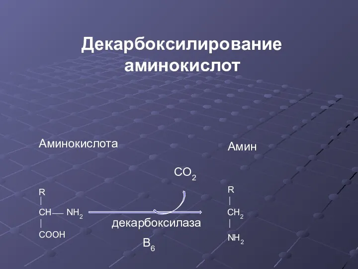 Декарбоксилирование аминокислот R CH NH2 COOH CO2 R CH2 NH2 B6 декарбоксилаза Аминокислота Амин