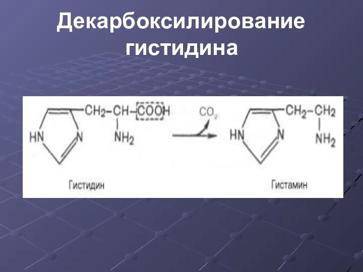 Декарбоксилирование гистидина