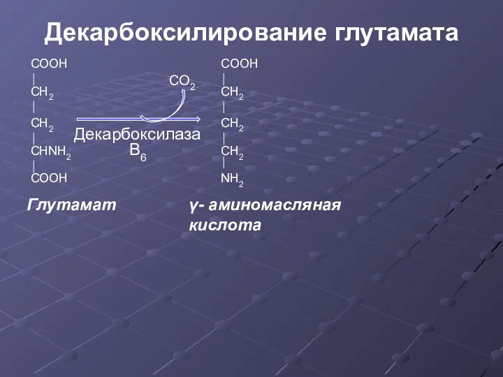 Декарбоксилирование глутамата B6 Декарбоксилаза COOH CH2 CH2 CHNH2 COOH Глутамат