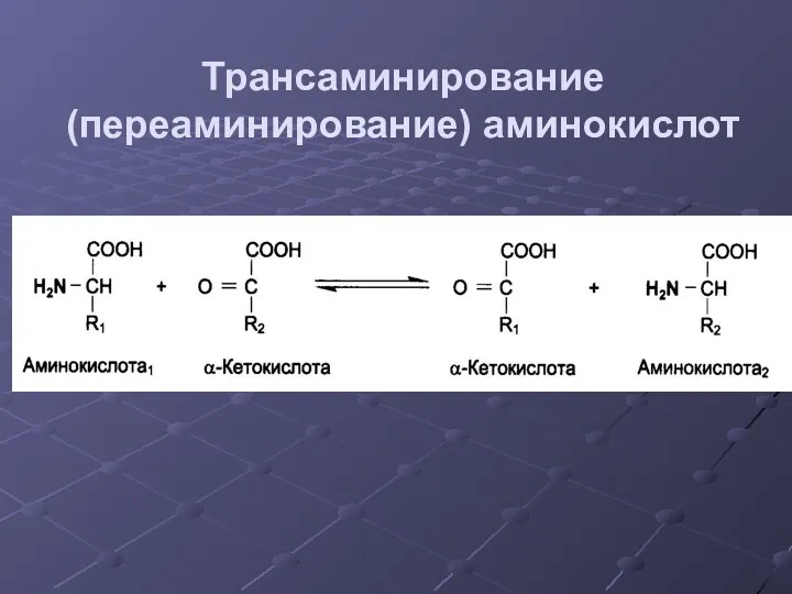 Трансаминирование (переаминирование) аминокислот