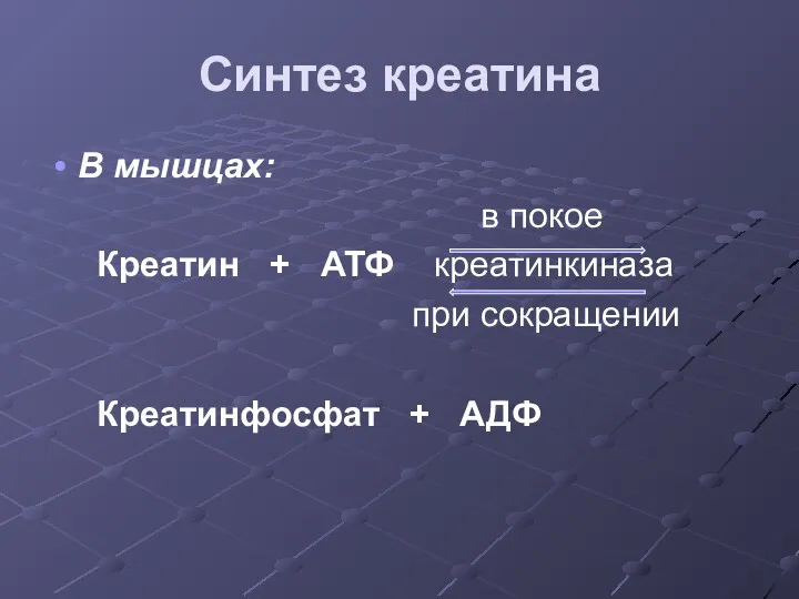 Синтез креатина В мышцах: в покое Креатин + АТФ креатинкиназа при сокращении Креатинфосфат + АДФ