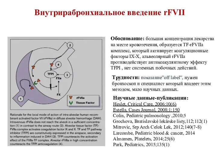 Внутрирабронхиальное введение rFVII Обоснование: большая концентрация лекарства на месте кровотечения,