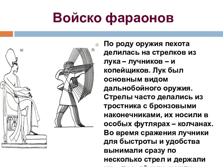 Войско фараонов По роду оружия пехота делилась на стрелков из лука – лучников