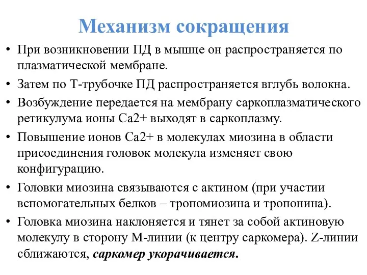 Механизм сокращения При возникновении ПД в мышце он распространяется по