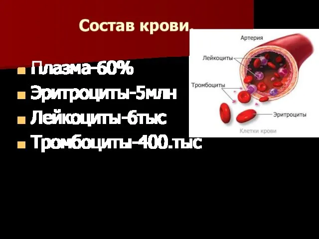 Состав крови. Плазма-60% Эритроциты-5млн Лейкоциты-6тыс Тромбоциты-400.тыс