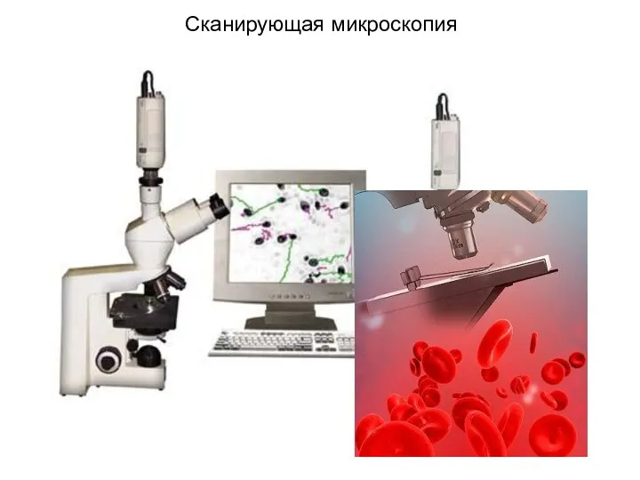 Сканирующая микроскопия