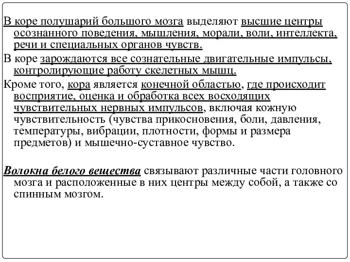 В коре полушарий большого мозга выделяют высшие центры осознанного поведения,