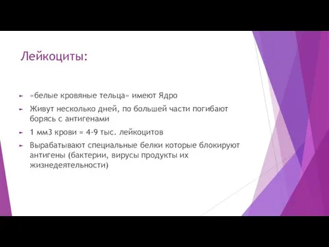 Лейкоциты: «белые кровяные тельца» имеют Ядро Живут несколько дней, по