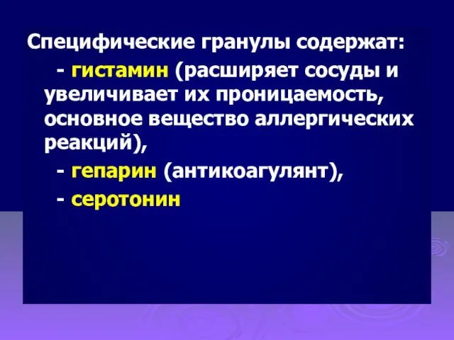 Специфические гранулы содержат: - гистамин (расширяет сосуды и увеличивает их