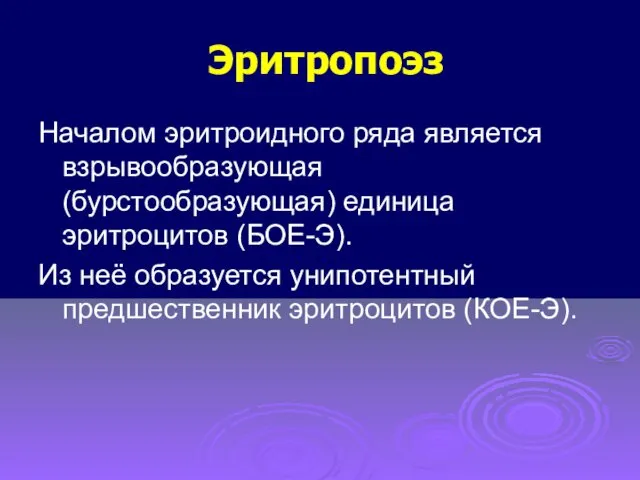 Эритропоэз Началом эритроидного ряда является взрывообразующая (бурстообразующая) единица эритроцитов (БОЕ-Э).