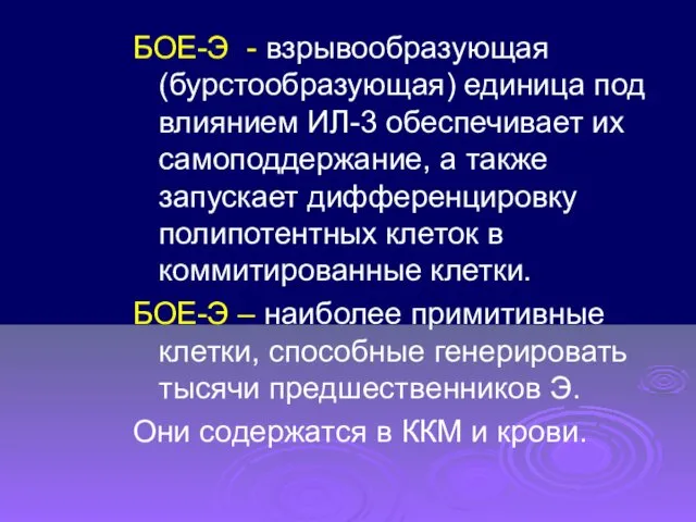 БОЕ-Э - взрывообразующая (бурстообразующая) единица под влиянием ИЛ-3 обеспечивает их