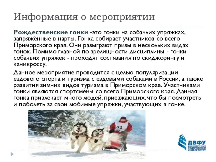 Информация о мероприятии Рождественские гонки -это гонки на собачьих упряжках, запряжённые в нарты.