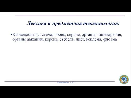 Лексика и предметная терминология: Кровеносная система, кровь, сердце, органы пищеварения,