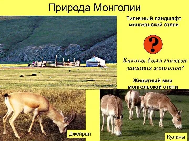 Природа Монголии Куланы Джейран Типичный ландшафт монгольской степи Животный мир монгольской степи ?