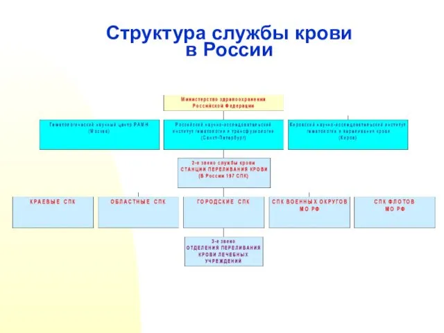 Структура службы крови в России