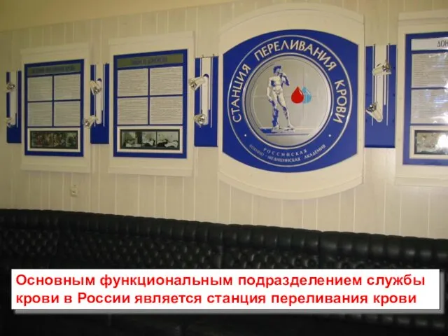 Основным функциональным подразделением службы крови в России является станция переливания крови