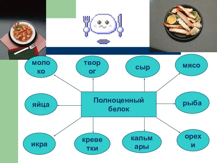 Полноценный белок молоко творог сыр креветки кальмары мясо орехи икра рыба яйца