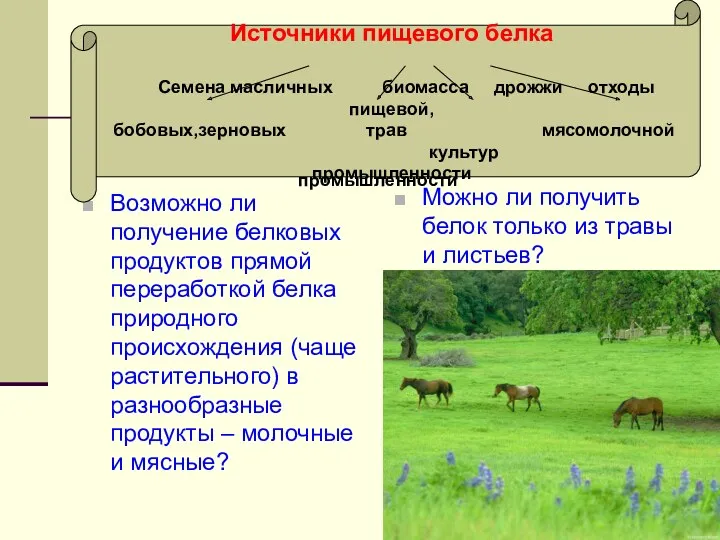 Источники пищевого белка Семена масличных биомасса дрожжи отходы пищевой, бобовых,зерновых