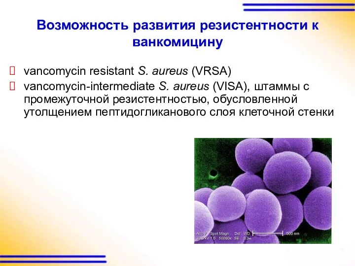 Возможность развития резистентности к ванкомицину vancomycin resistant S. aureus (VRSA)