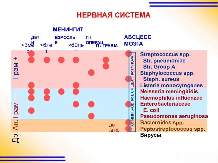 АБСЦЕСС МОЗГА Грам — Ан. Грам + МЕНИНГИТ Др. Streptococcus