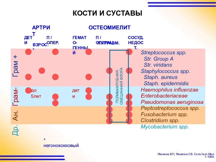 Яковлев ВП, Яковлев СВ. Consilium Med 1-1999 АРТРИТ Грам- Ан.