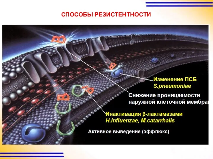 СПОСОБЫ РЕЗИСТЕНТНОСТИ