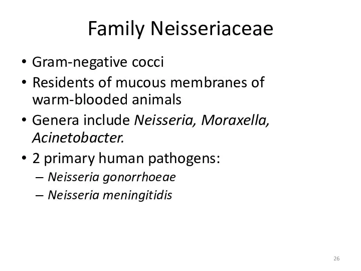 Family Neisseriaceae Gram-negative cocci Residents of mucous membranes of warm-blooded animals Genera include
