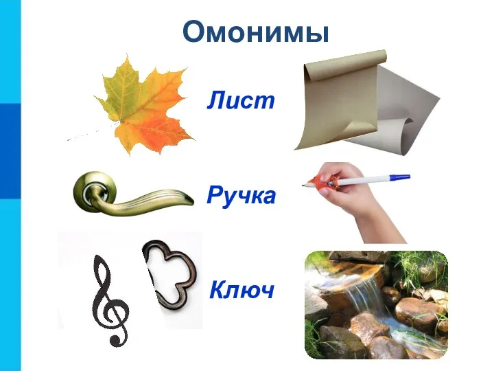 Омонимы Лист Ручка Ключ