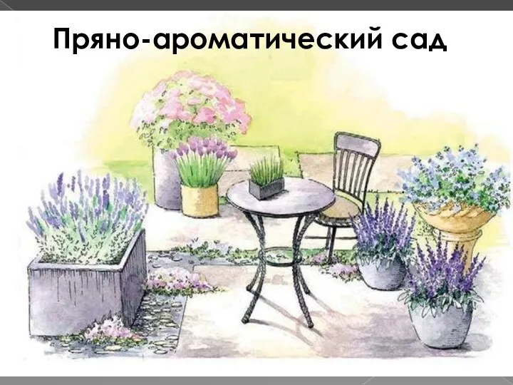 Пряно-ароматический сад