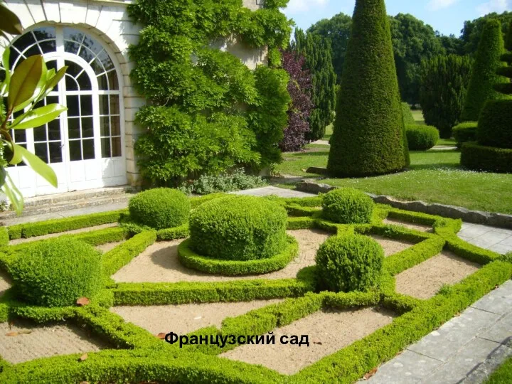 Французский сад