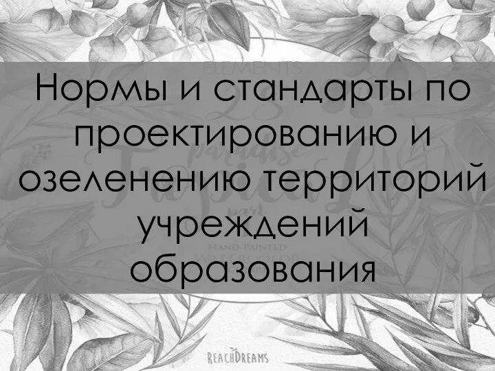 Нормы и стандарты по проектированию и озеленению территорий учреждений образования