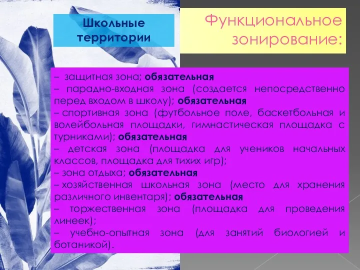 Функциональное зонирование: – защитная зона; обязательная – парадно-входная зона (создается