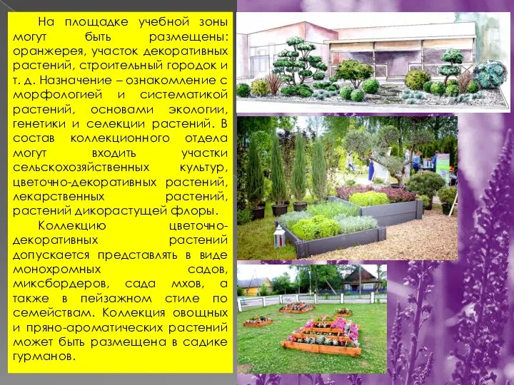 На площадке учебной зоны могут быть размещены: оранжерея, участок декоративных растений, строительный городок