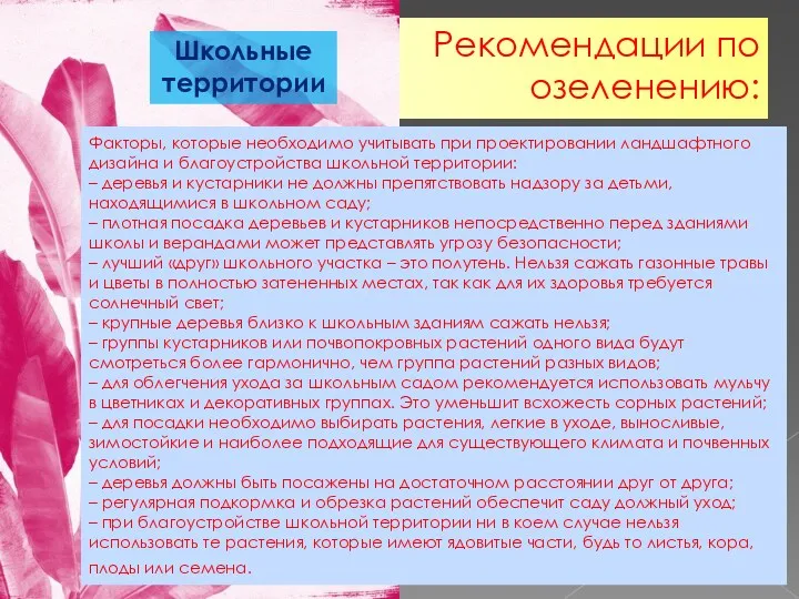 Рекомендации по озеленению: Факторы, которые необходимо учитывать при проектировании ландшафтного